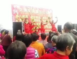 幸福像花儿一样舞蹈视频,揭秘“幸福像花儿一样舞蹈”的魅力瞬间