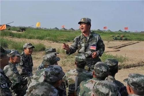 军转干视频,从军旅生涯到职场新篇章