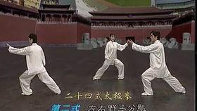 太极拳24式视频背面,太极拳24式视频背面动作解析与技巧揭秘
